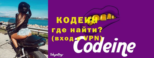 молекула духа Няндома