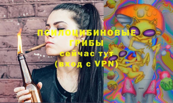 a pvp Абаза