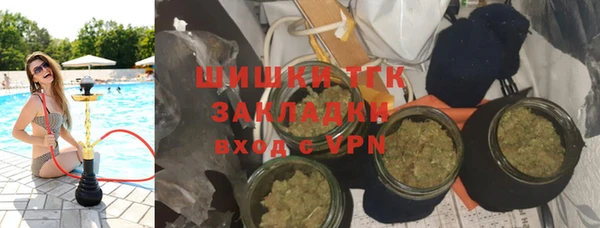сатива Нягань