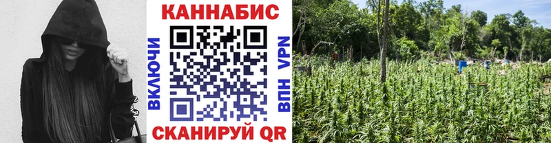 продажа наркотиков  дарк нет официальный сайт  Марихуана Amnesia  Котельнич 